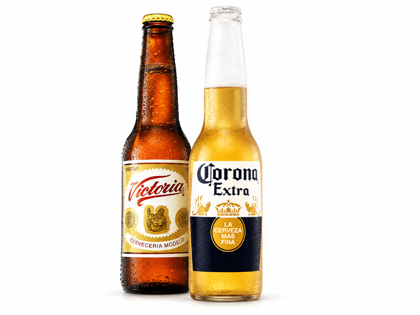 Cerveza
